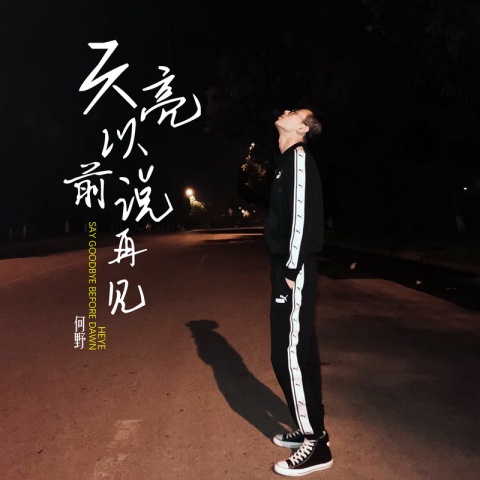 天亮以前说再见(何野演唱歌曲)