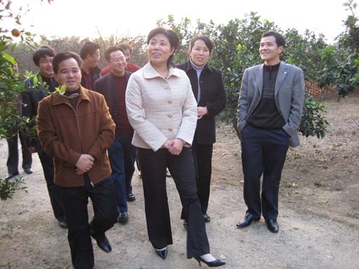 桃花山镇领导视察 桃花山镇领导视察