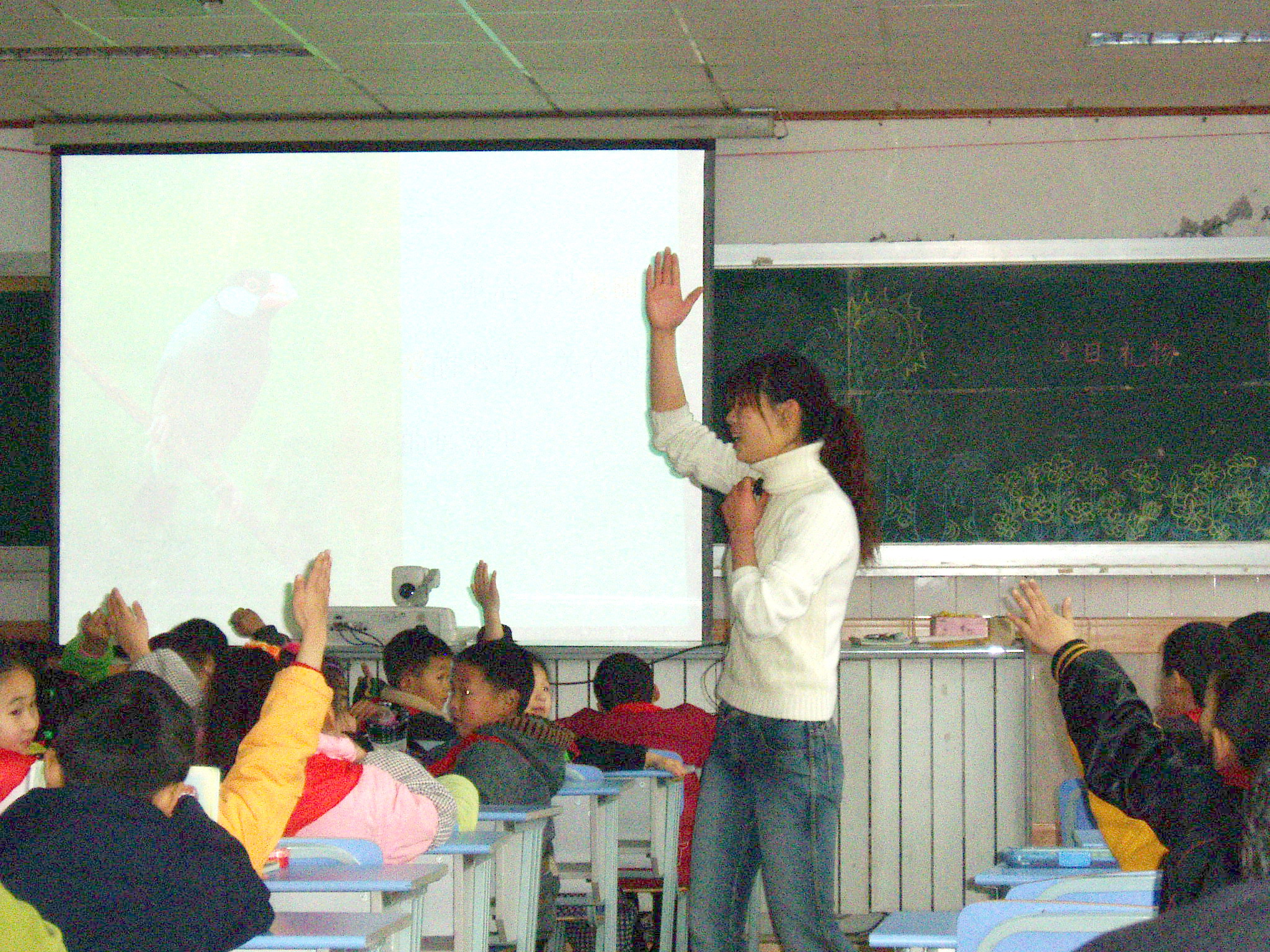 参与式课堂教学 参与式课堂教学