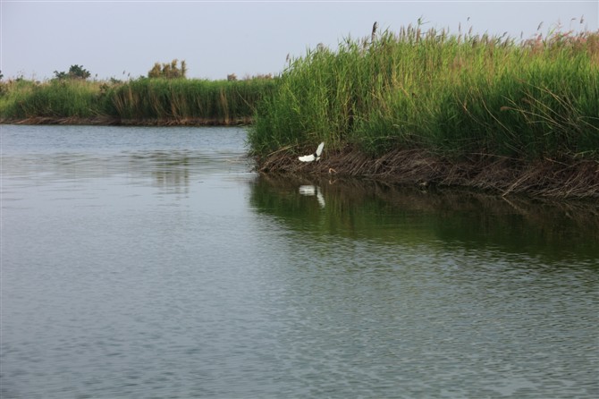 黄河湾 黄河湾