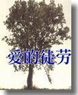 爱的徒劳 爱的徒劳