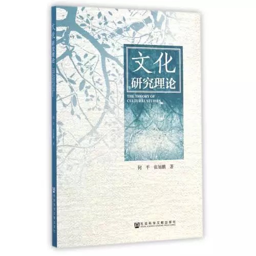 文化研究理论 文化研究理论