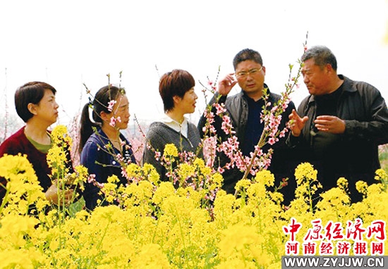 桃园关村 桃园关村