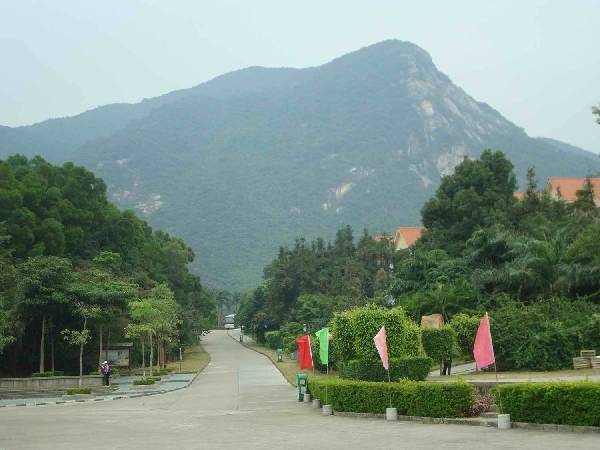 深圳大康溪谷 深圳大康溪谷