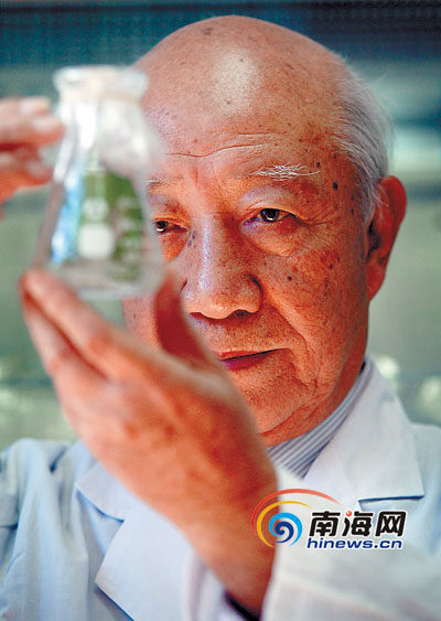 郑学勤 郑学勤