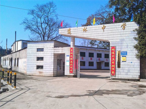 道林中学校门 道林中学校门