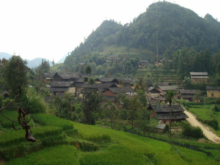 仁义村(广西南宁市江南区沙井街道下辖村) 仁义村(广西南宁市江南区沙井街道下辖村)