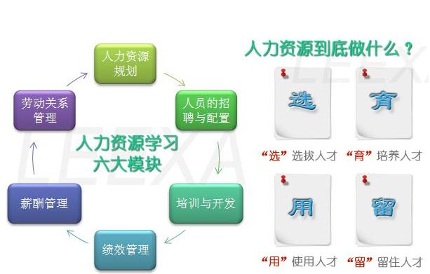人力资源 人力资源