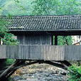 上三坑村 上三坑村