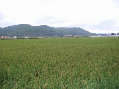 龙潭营村 龙潭营村