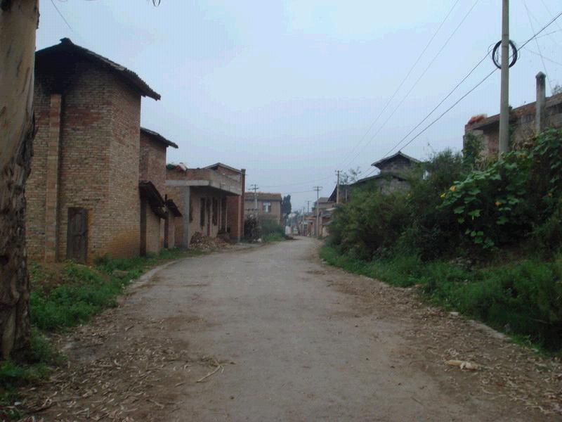村庄道路 村庄道路