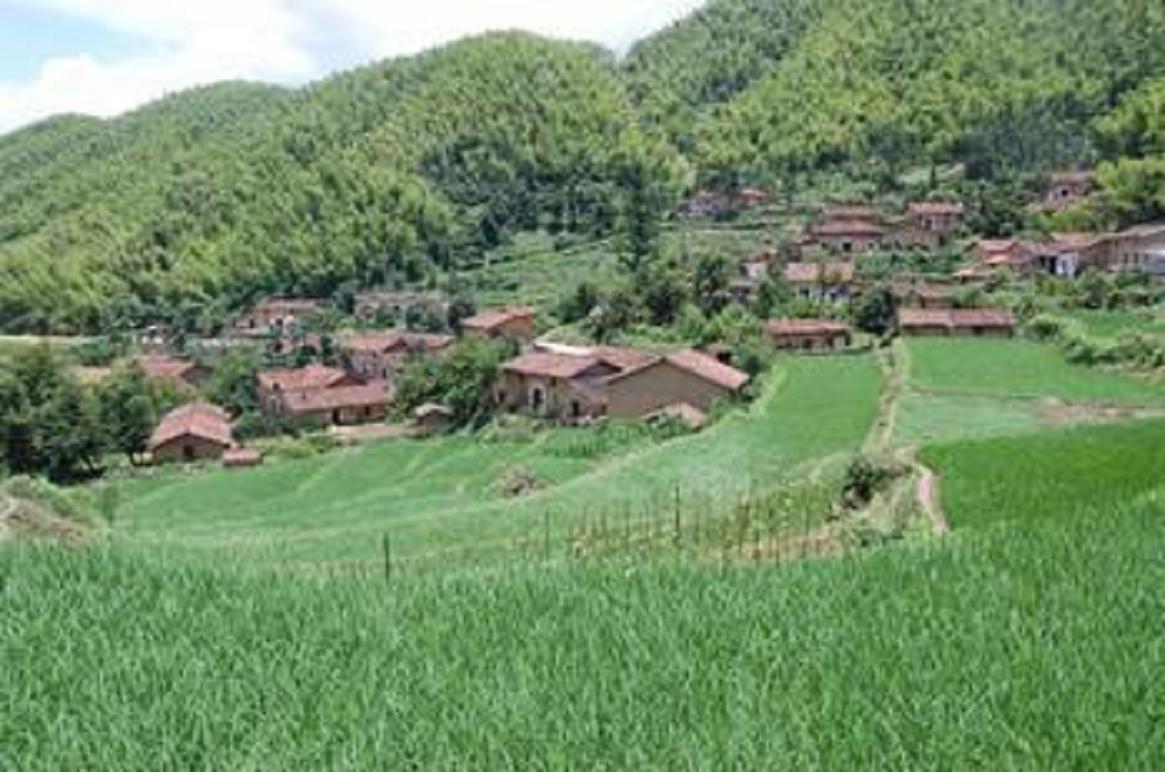 化龙溪村 化龙溪村