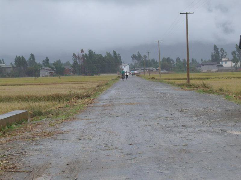 大龙溪村 大龙溪村