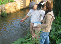 湖泊观测 湖泊观测