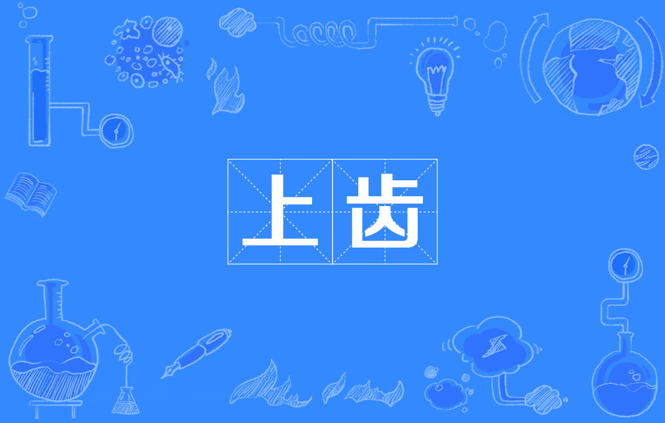 上齿