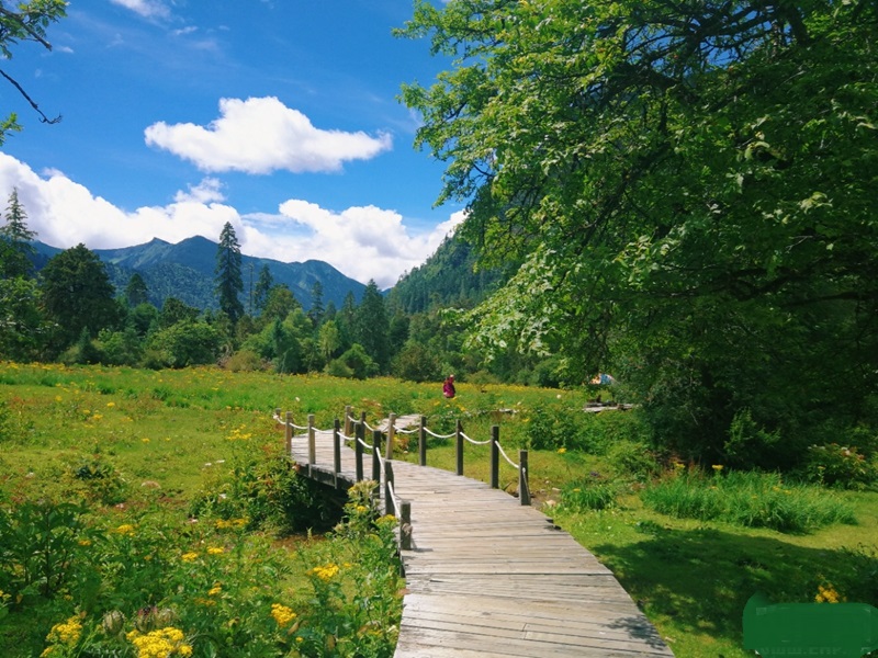 南伊乡南伊沟风景 南伊乡南伊沟风景