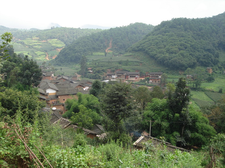 下龙潭村(云南省楚雄市八角镇大麦地村委会下龙潭村) 下龙潭村(云南省楚雄市八角镇大麦地村委会下龙潭村)