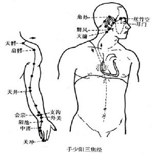 三焦 三焦