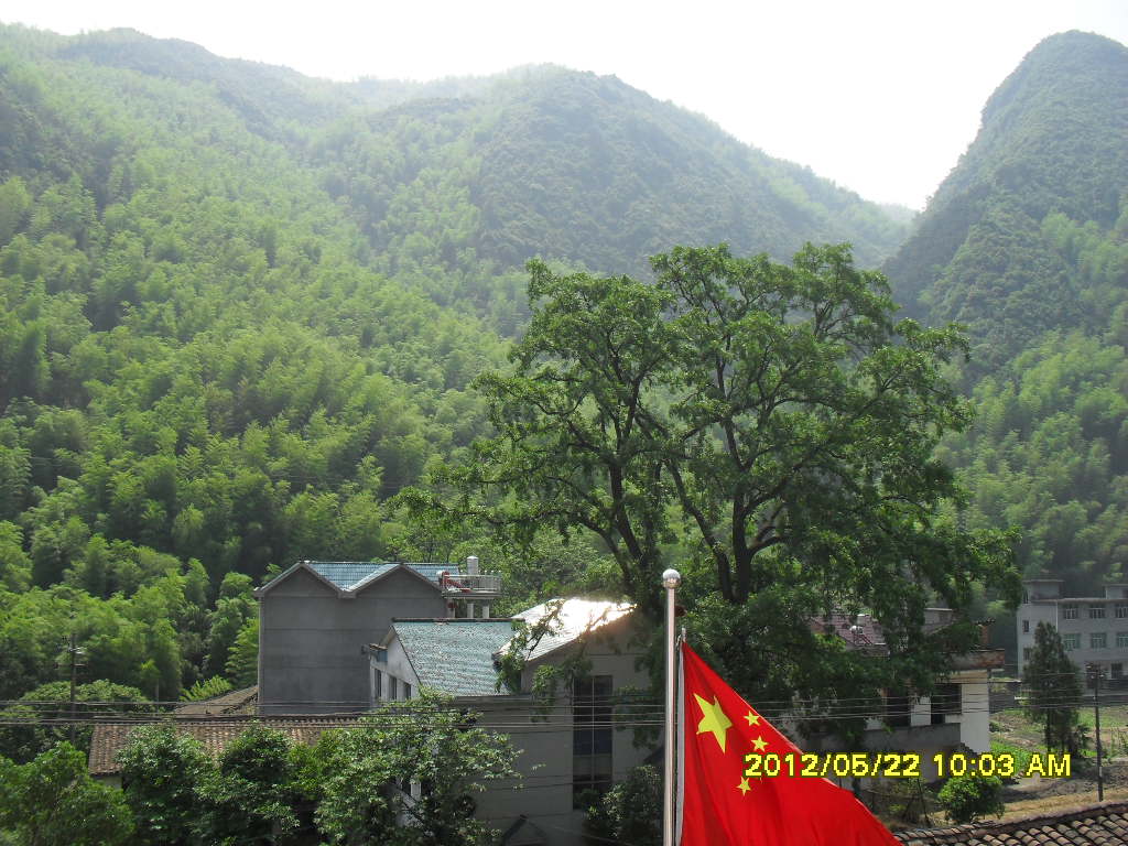 化龙溪村 化龙溪村