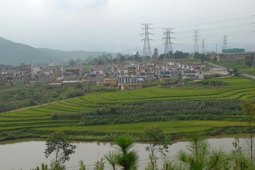 青龙村(湖南省张家界市桑植县利福塔镇下辖村) 青龙村(湖南省张家界市桑植县利福塔镇下辖村)