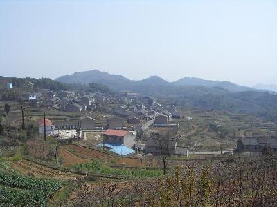 浙江省宁波市余姚市大岚镇四丰村 浙江省宁波市余姚市大岚镇四丰村