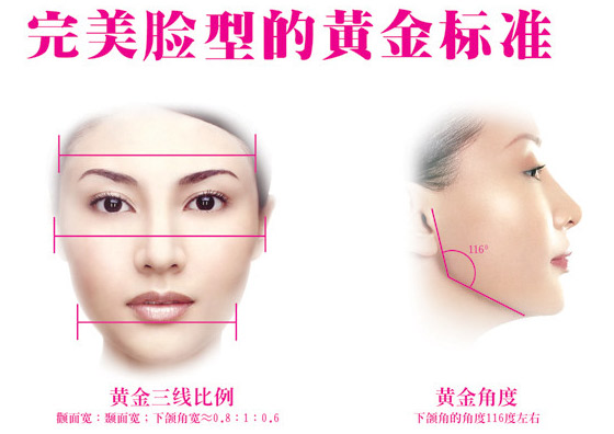 下颌角的美学标準 下颌角的美学标準