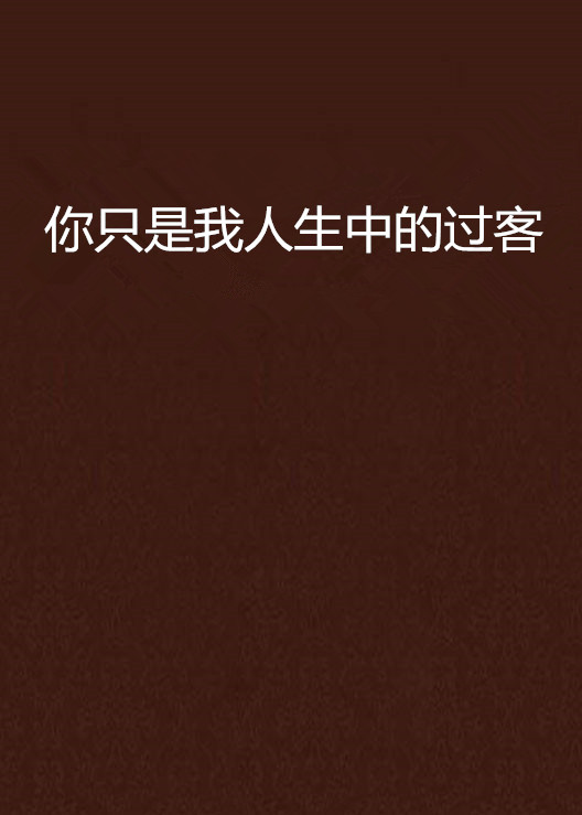 你只是我人生中的过客 你只是我人生中的过客