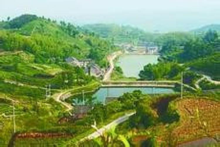 四丰村(浙江余姚市大岚镇四丰村) 四丰村(浙江余姚市大岚镇四丰村)