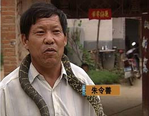 朱令善 朱令善