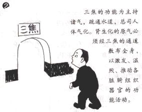 三焦 三焦