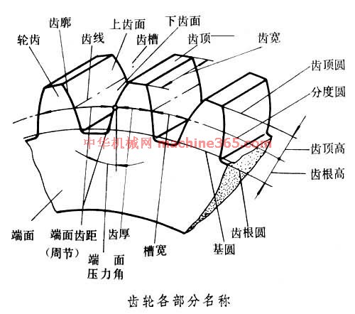 基节(机械原理术语) 基节(机械原理术语)