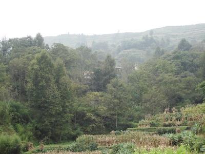 晏半坡村 晏半坡村