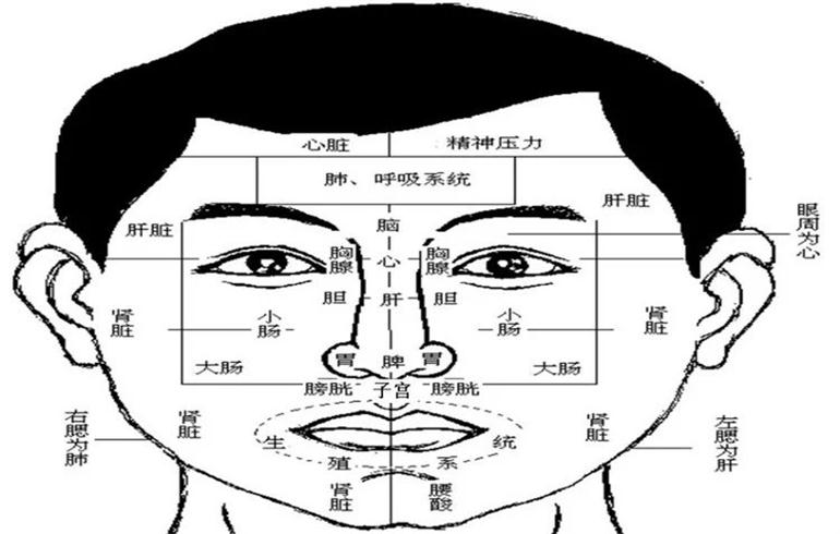 面诊 面诊