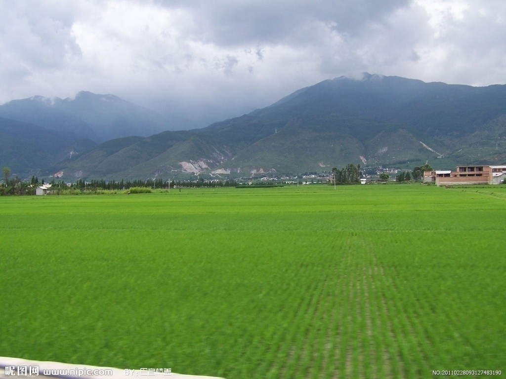 保护区风景 保护区风景