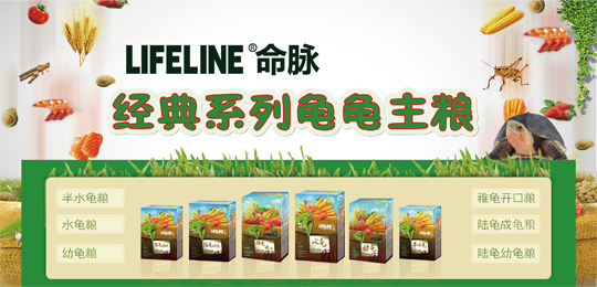 经典系列 经典系列