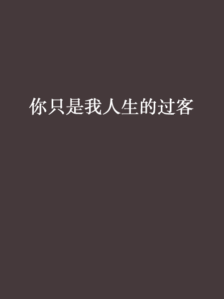 你只是我人生的过客 你只是我人生的过客