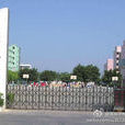 增城区英华学校 增城区英华学校