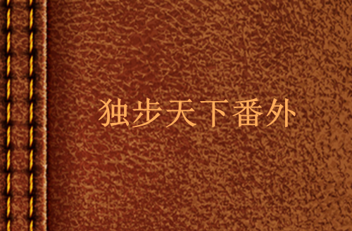 独步天下番外