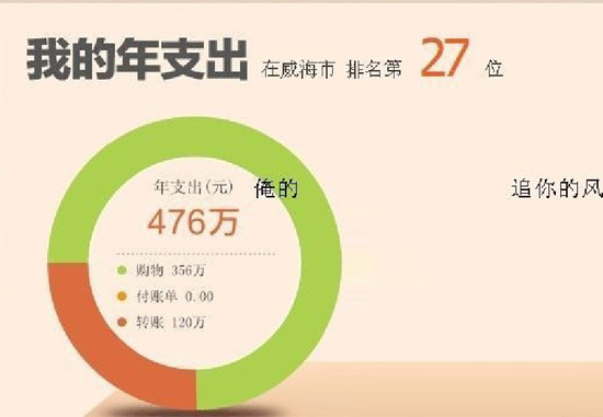 支付宝年度账单 支付宝年度账单