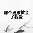 那个男孩教会了我爱