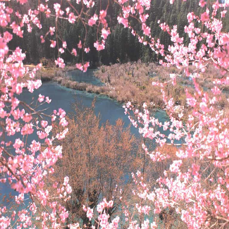 九寨沟购物 九寨沟购物