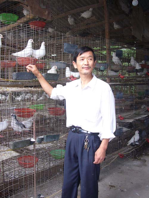 花湖镇养殖 花湖镇养殖