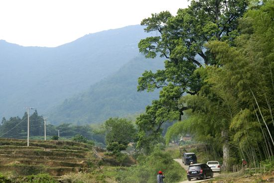 大华山村(1、江西省乐安县寺湾镇下辖村) 大华山村(1、江西省乐安县寺湾镇下辖村)