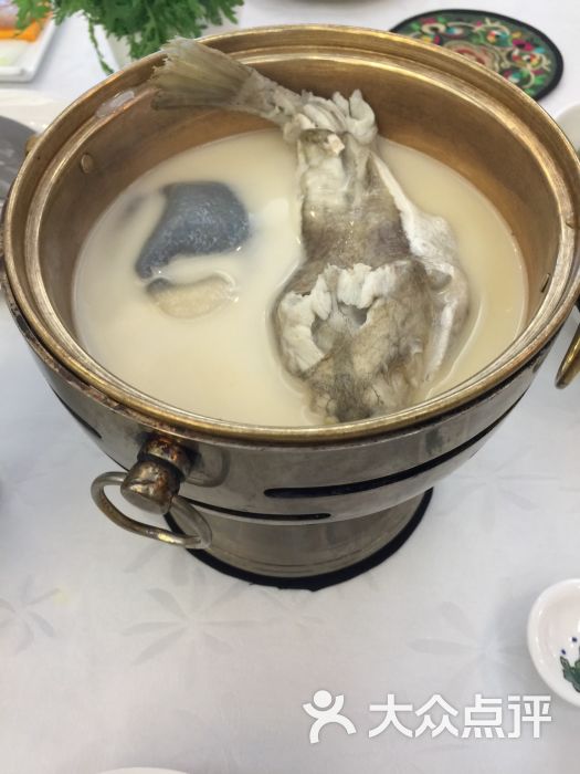华鲀河豚鱼 华鲀河豚鱼