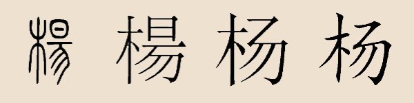 汉字演变 汉字演变