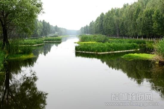 蟠龙河(山东枣庄同名河流) 蟠龙河(山东枣庄同名河流)