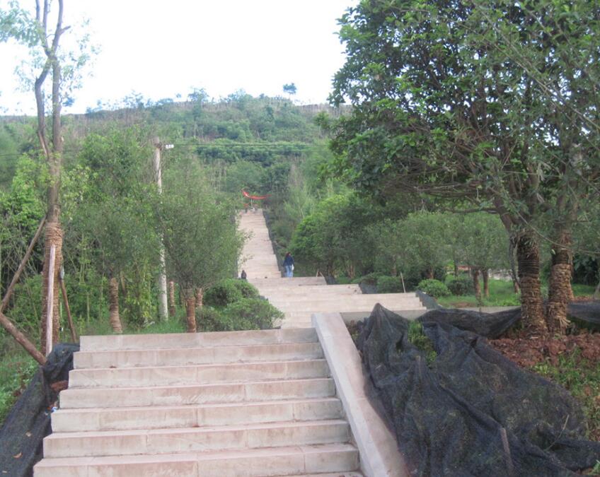 大足南山公园 大足南山公园