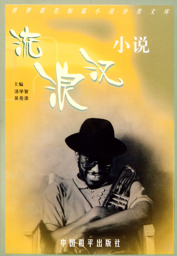 流浪汉小说 流浪汉小说