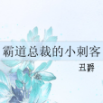 霸道总裁的小刺客 霸道总裁的小刺客