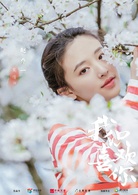 我只喜欢你(我不喜欢这世界，我只喜欢你（电视剧）)